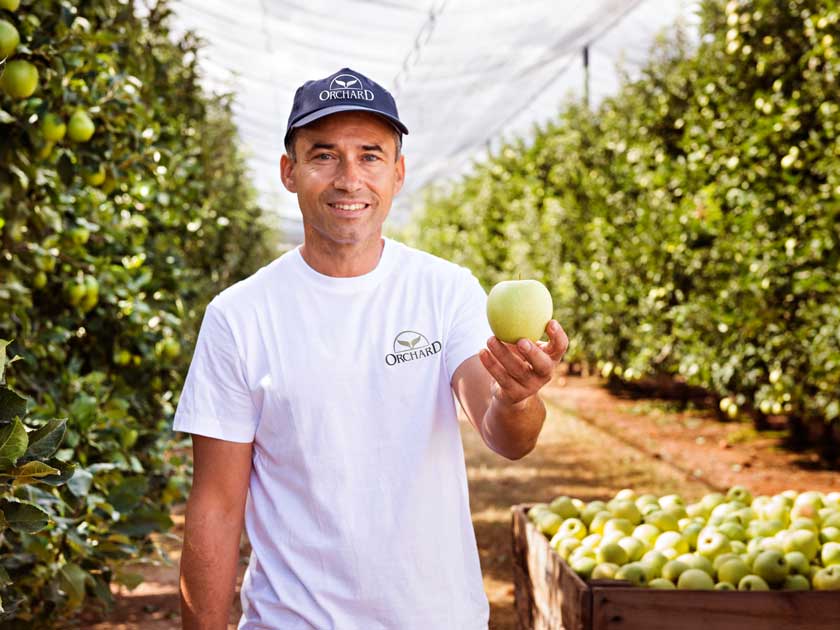5 trucos para conservar las manzanas más tiempo | Orchard Fruits | La fruta original